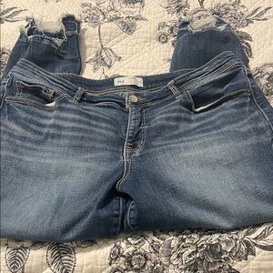 BKE Women's Blue Distressed Cropped Ankle Jeans